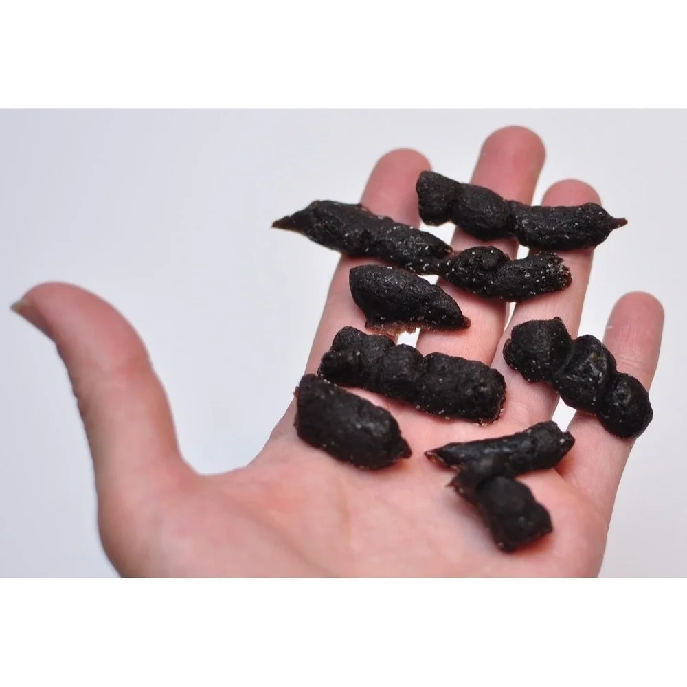 Prank‎ Joke Cat Poop Mold Funny Soap Molds Unique Crazy Cat Lady Gift🐈